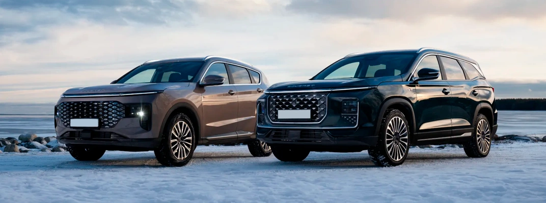 Купить SOUEAST в Самаре